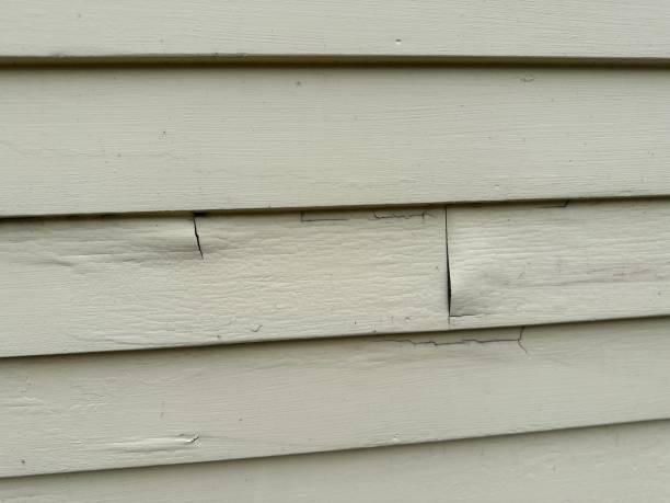 Best Vinyl Siding Installation  in Old Hill, CT